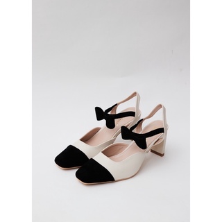 221720 - CAO GÓT ADELAIDE MULES