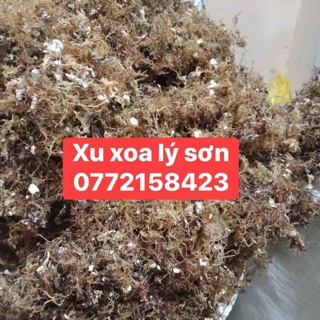 RAU ĐÔNG NẤU XU XOA LÝ SƠN