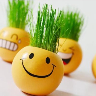 Chậu hạt giống để bàn mini mặt cười