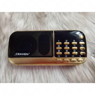 Loa Thẻ Nhớ Craven CR-25A