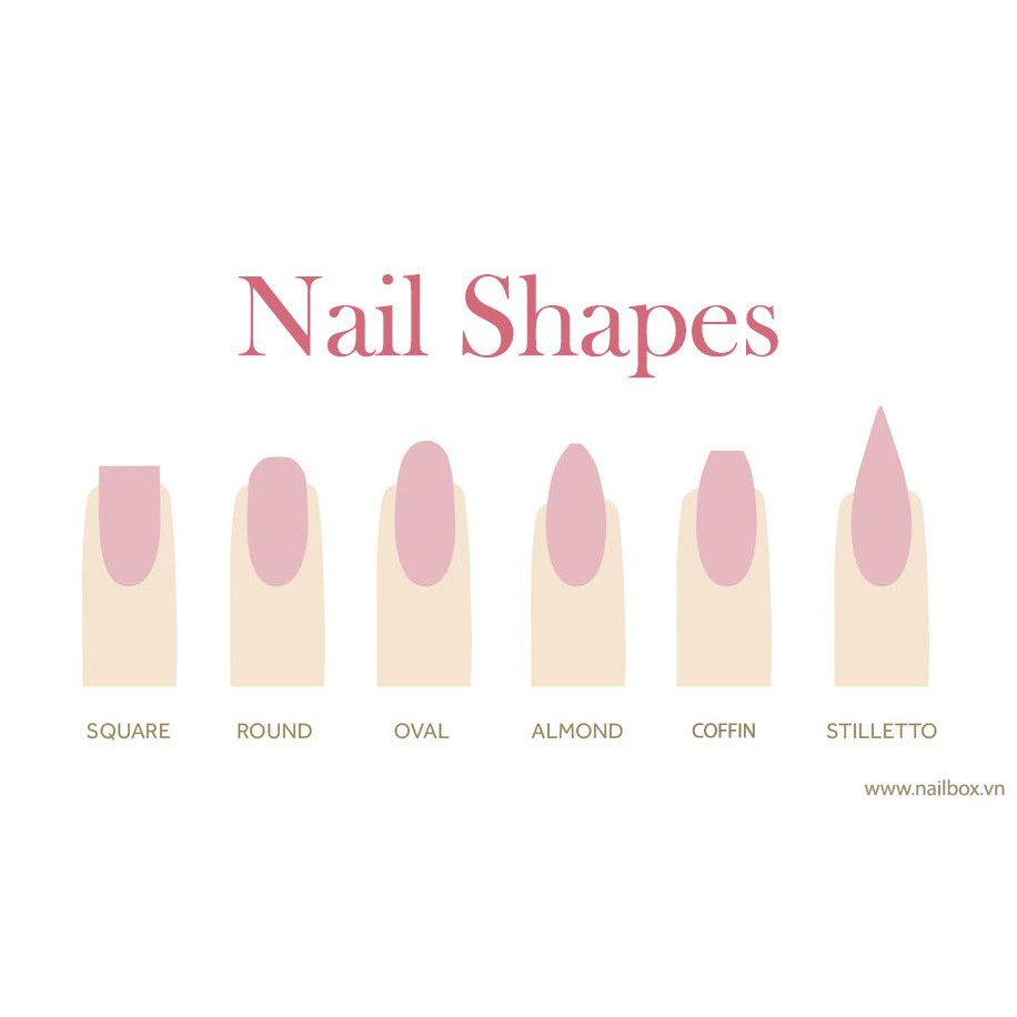 Nail Box thiết kế mẫu nhẹ nhàng xinh xắn