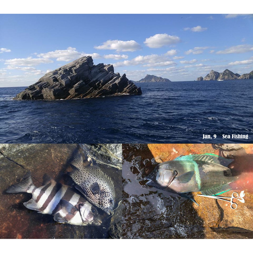 Seaknight Mồi Câu Cá Nhân Tạo sk004