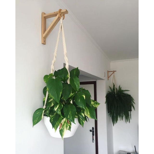 Bab bát gỗ treo chậu hoa vừa. ke vuông gắn tường bát treo