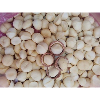 1kg HẠT MACCA SẤY NỨT VỎ