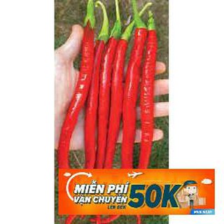 30 Hạt giống Ớt đậu đũa (tặng gói kích nẩy mầm và hướng dẫn)