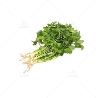 Rau Ngò Rí Tươi Sạch Giao nhanh 1-2h (HCM)