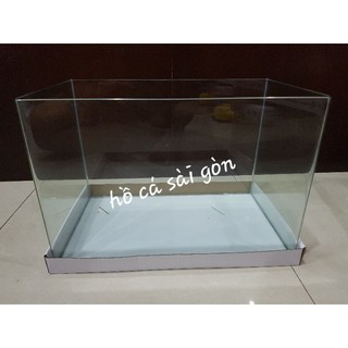 Bể cá kính, hồ cá uốn cong góc 50cm