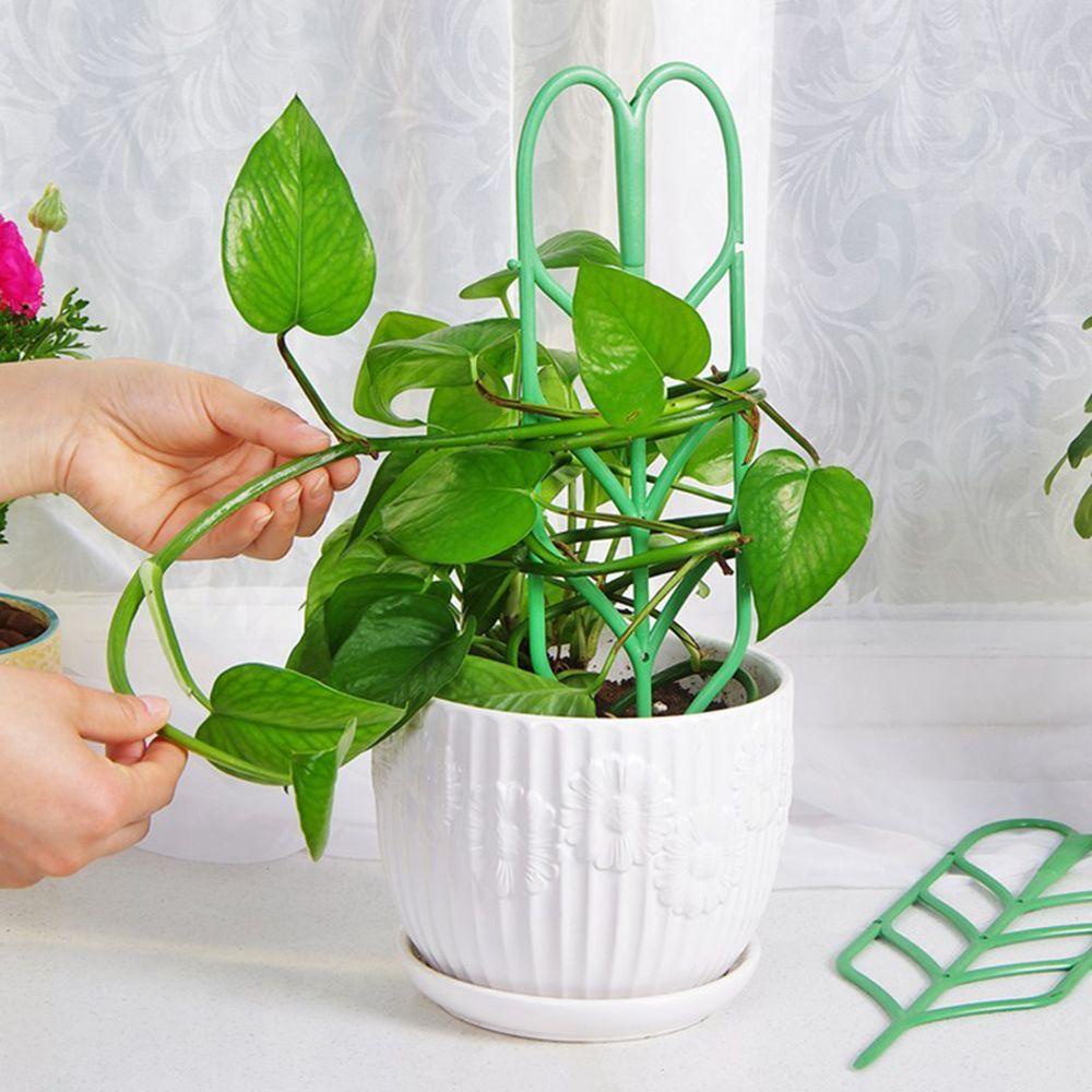 Set 3 Khung Hỗ Trợ Trồng Cây Dây Leo DIY