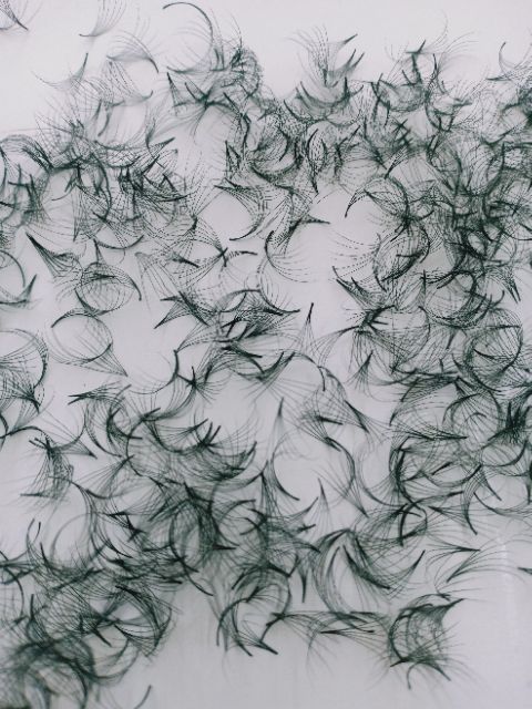 Mi fan 6d - hộp 1000 fan