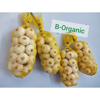 TỎI PHAN RANG LOẠI 1 CHÙM 500gr tại làng Thái An chính hiệu
