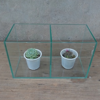 Bể cá Betta 2 ngăn kích thước 26x12x15 cm