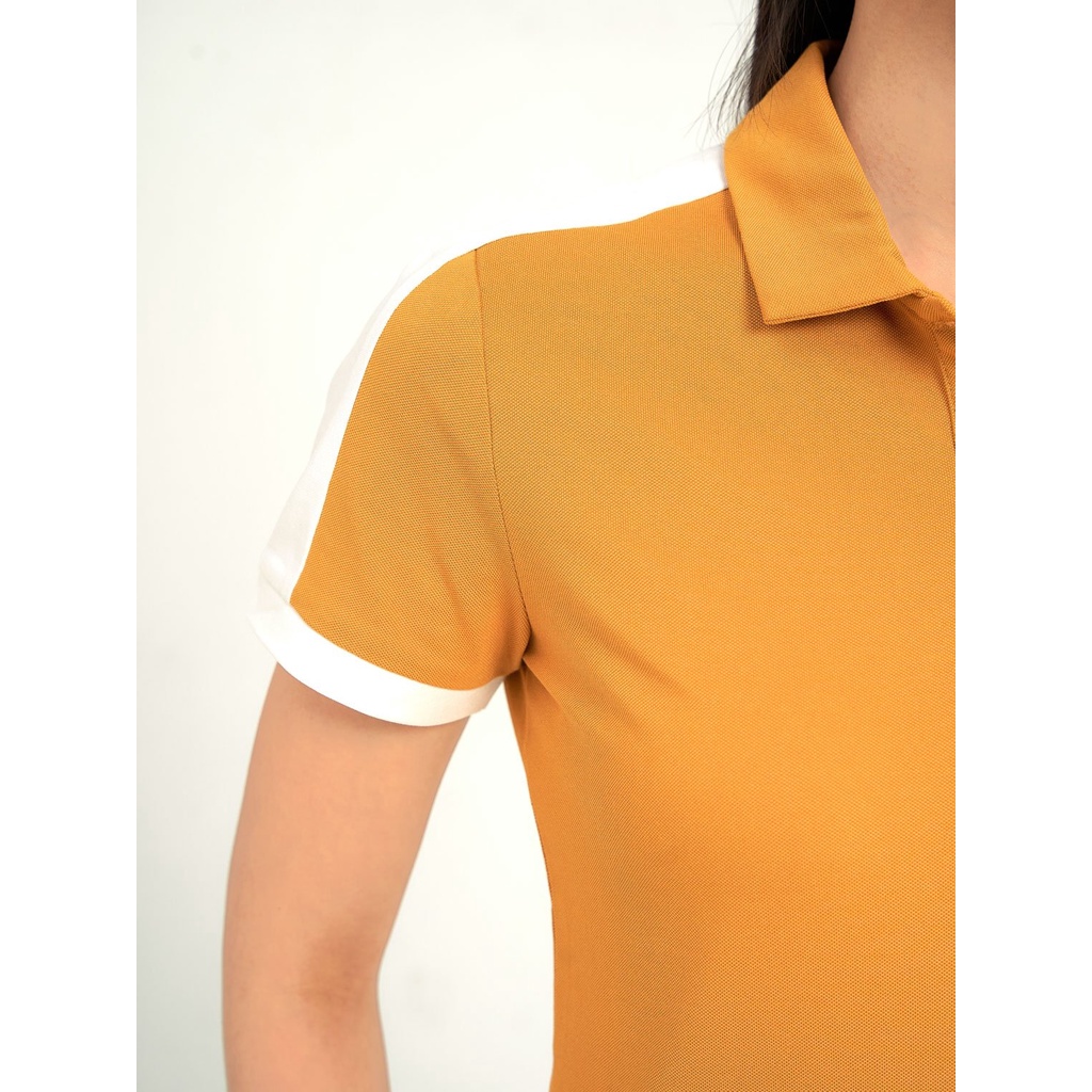 Áo polo nữ YODY mắt chim melange phối vai thoáng mát APN5396