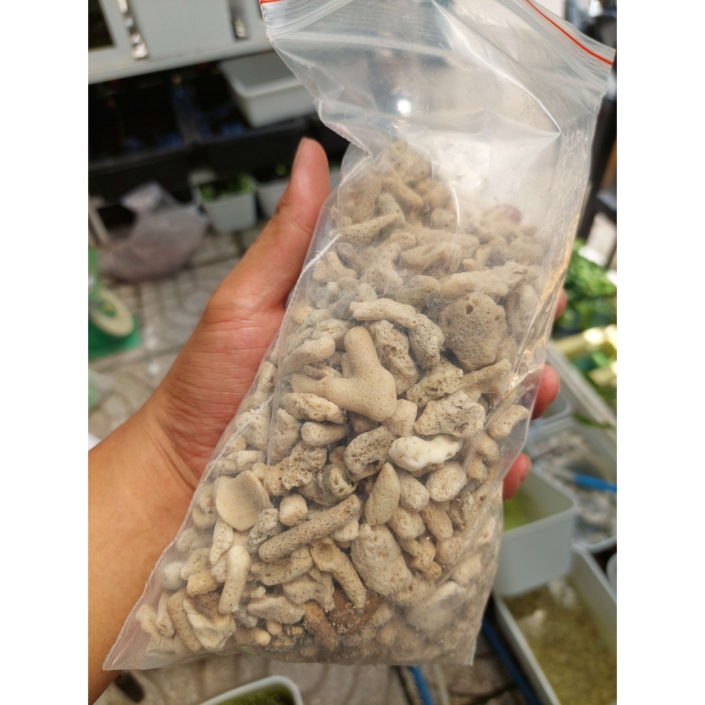 Vật Liệu Lọc San Hô Cho Hồ Cá, Giúp Tăng pH nước