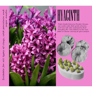 Hyancinth - khuôn vân hai mặt nhựa dẻo hoa đất hoa đường