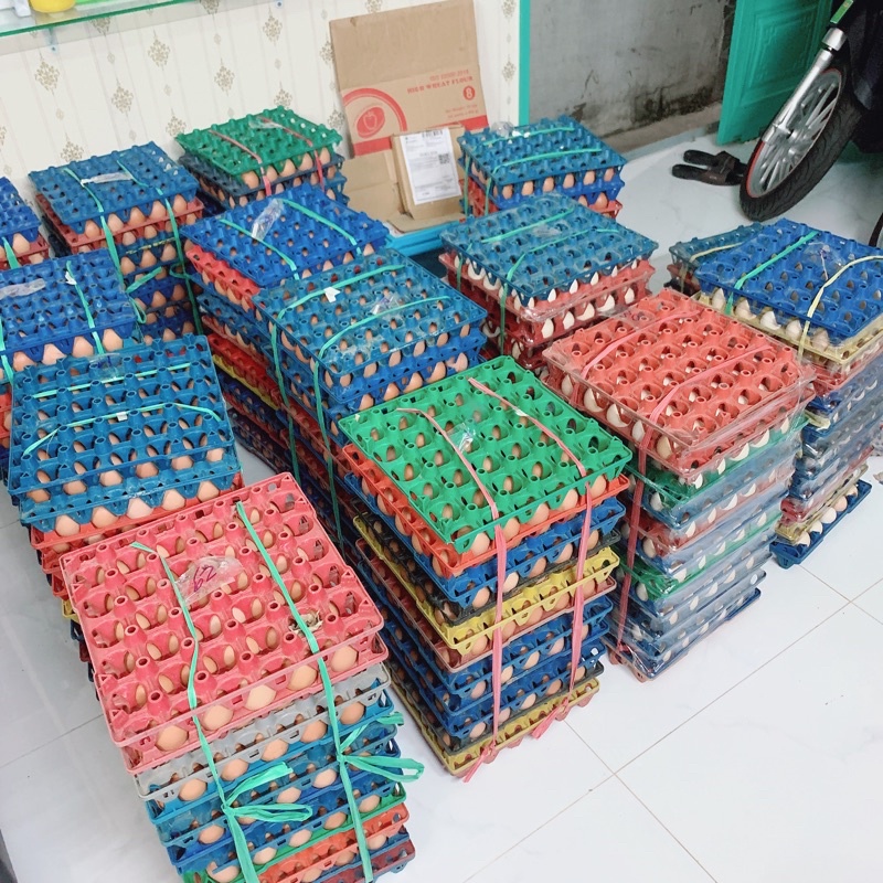 [Q7]Trứng gà công nghiệp/gà ta - loại 1 - trứng mới hằng ngày tại vườn bến tre | BigBuy360 - bigbuy360.vn