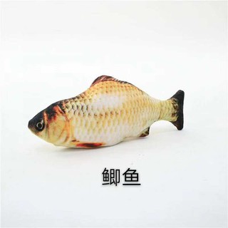 Cá Nhảy Sạc Điện