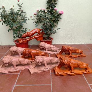 Cụ hổ gỗ hương