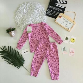 Combo 6 bộ Bozip xuất