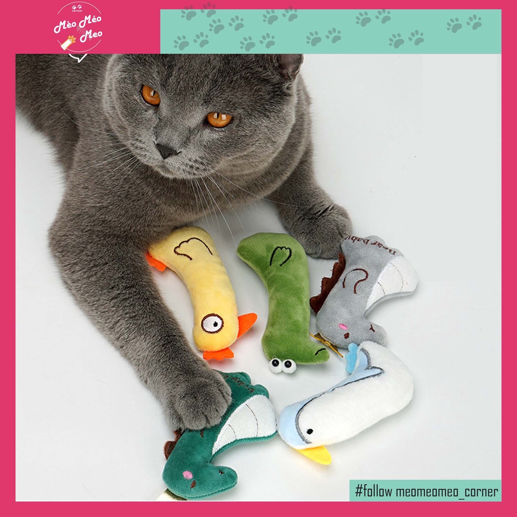 Đồ Chơi Mèo catnip xuyên biên giới vui vẻ, Gấu ôm cho chó - mèo