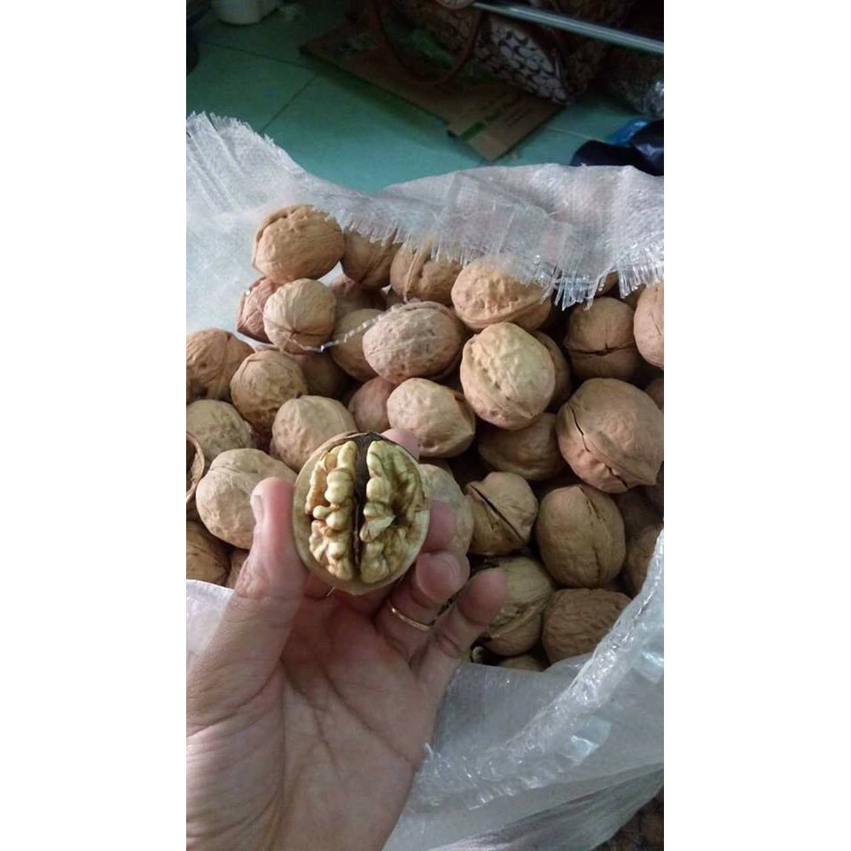 500gr hạt óc chó Sapa