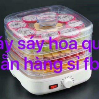Máy Sấy Hoa Quả Thông Minh