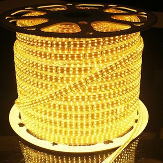 Đèn led dây đôi 2835