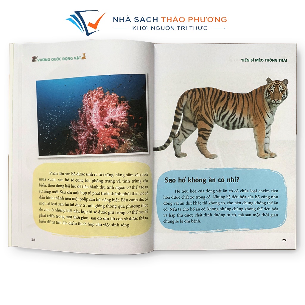 Sách - Bách khoa tri thức dành cho trẻ em - Tiến sĩ mèo thông thái - Bộ 5 cuốn, tặng kèm 1quyển sổ ghi chép