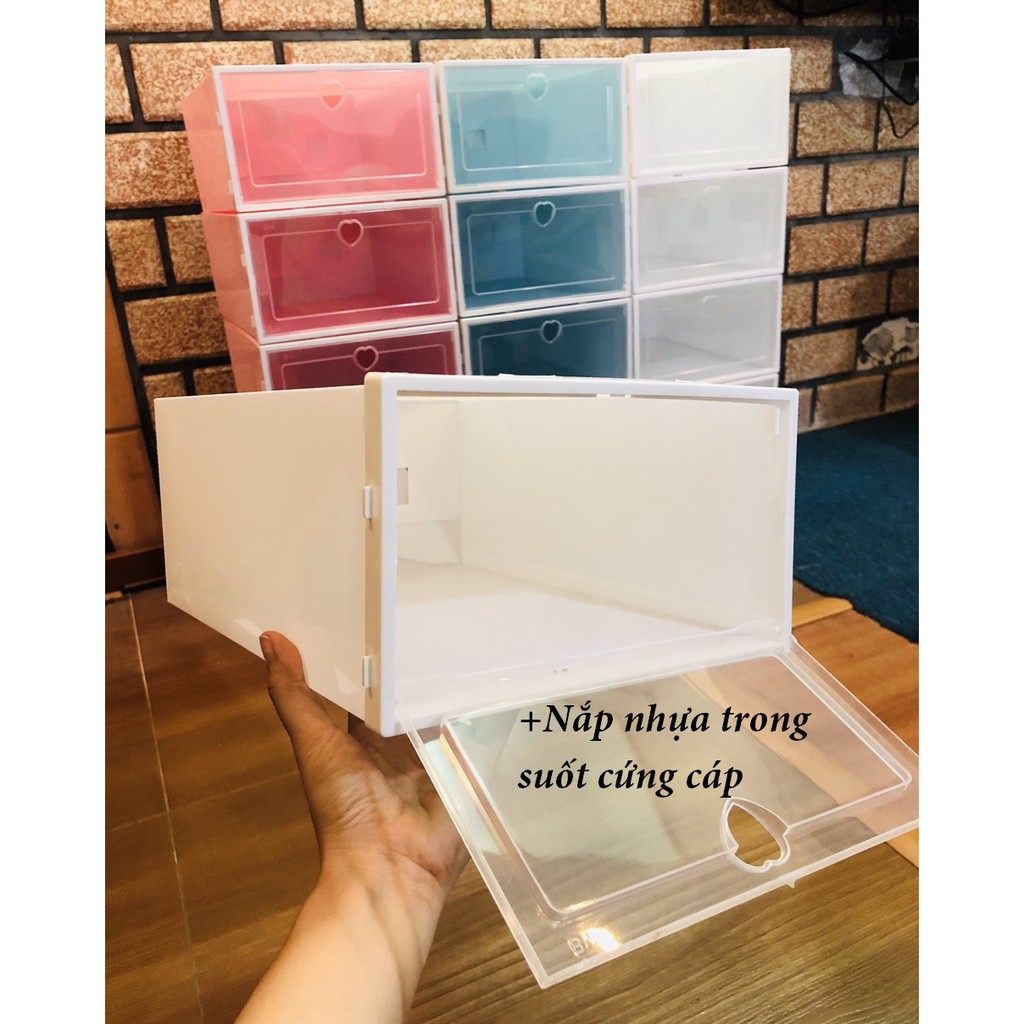 Hộp Đựng Giày Trendluxe Bằng Nhựa
