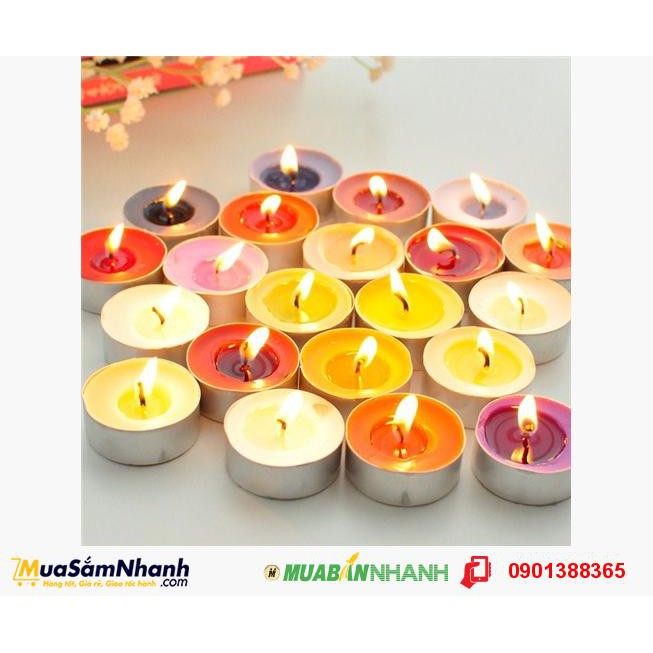 Hộp 50 Viên Nến Tealight Nến đốt tinh dầu - MSN181052