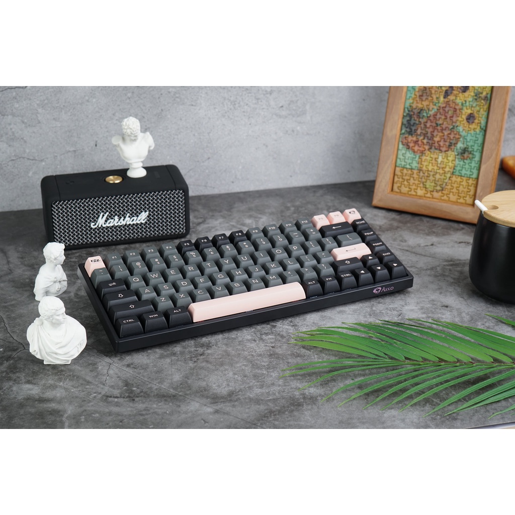 Bàn phím cơ AKKO 3084 v2/ 3084B Plus Black Pink | Hotswap | RGB | Bluetooth | Wireless 2.4 Ghz | USB Type C