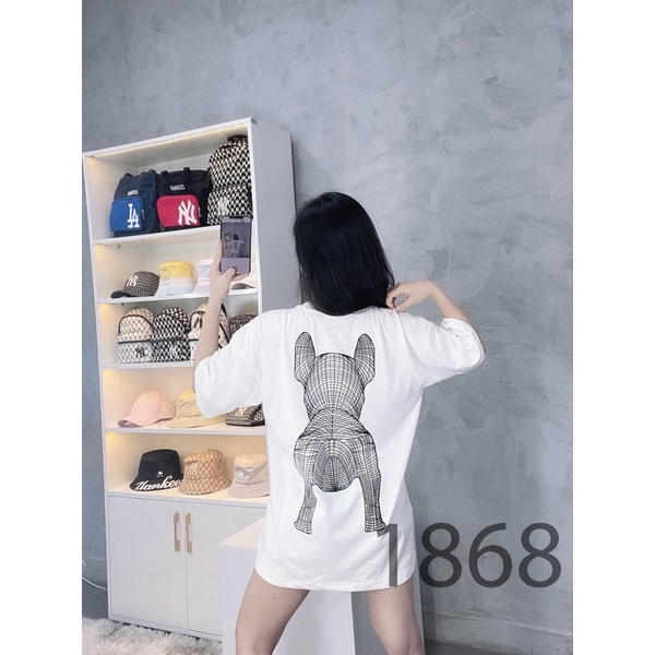 Áo Thun LIFEWORK big TEE COLOR COLLECTION 1868