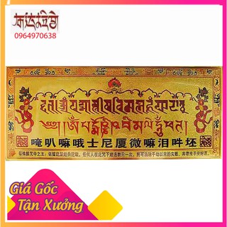 Miếng dán giải thoát qua sự nhìn
