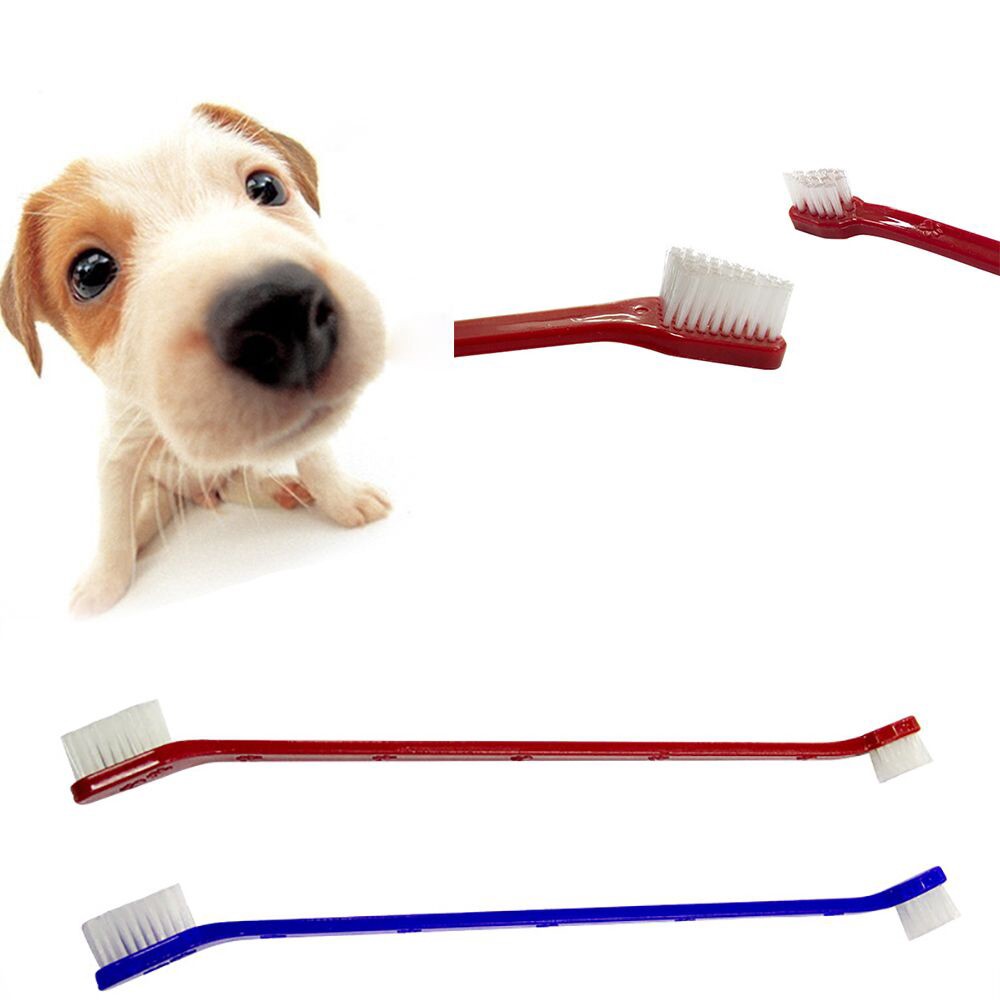 Bàn chải đánh răng 2 đầu chăm sóc cho thú cưng