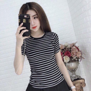 Áo thun sọc tay ngắn