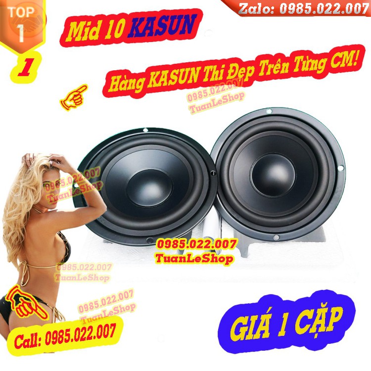 LOA TRUNG 10 KASUN NHẬP KHẨU E4019 - GIÁ 1 CẶP