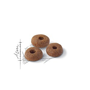 Hạt khô cho mèo trưởng thành Royal Canin Fit 32 10kg