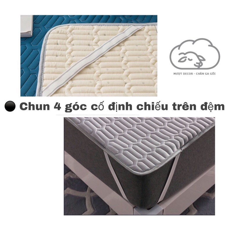 Chiếu Điều Hòa ❤️ cao su non tencel latex thái lan loại 1 hàng dày dặn tặng kèm 2 vỏ gối Mượt Decor