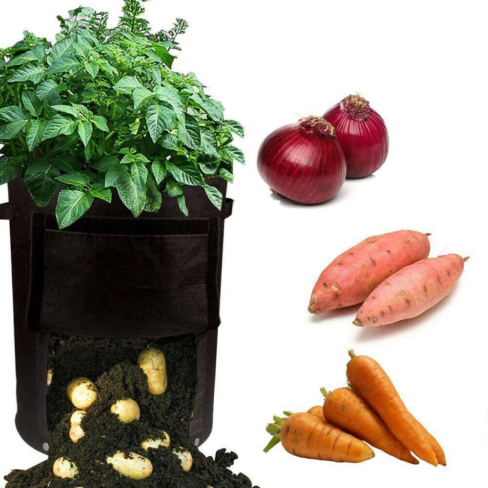 1 Túi Trồng Khoai Tây Bằng Vải Bền Bỉ Dùng Trong Nhà &amp; Sân Vườn