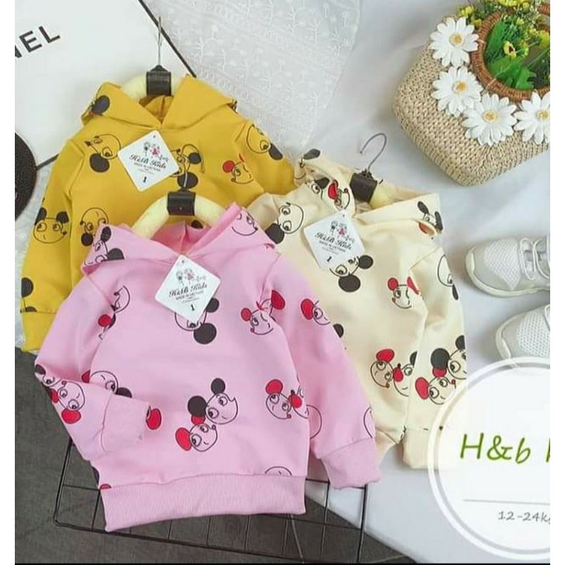 Áo khoác HOODIE nỉ da cá bé gái có mũ chất đẹp 8-20kg