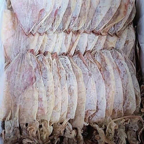 Mực Khô Câu Nha Trang size 29-33  Khô Mực Ngon Loại 1 Cá Mực Khô Ngon Ngọt Mềm | BigBuy360 - bigbuy360.vn