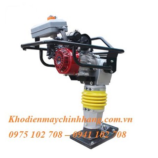 Đầm dùi chạy xăng Honda GX 160 (5.5HP)