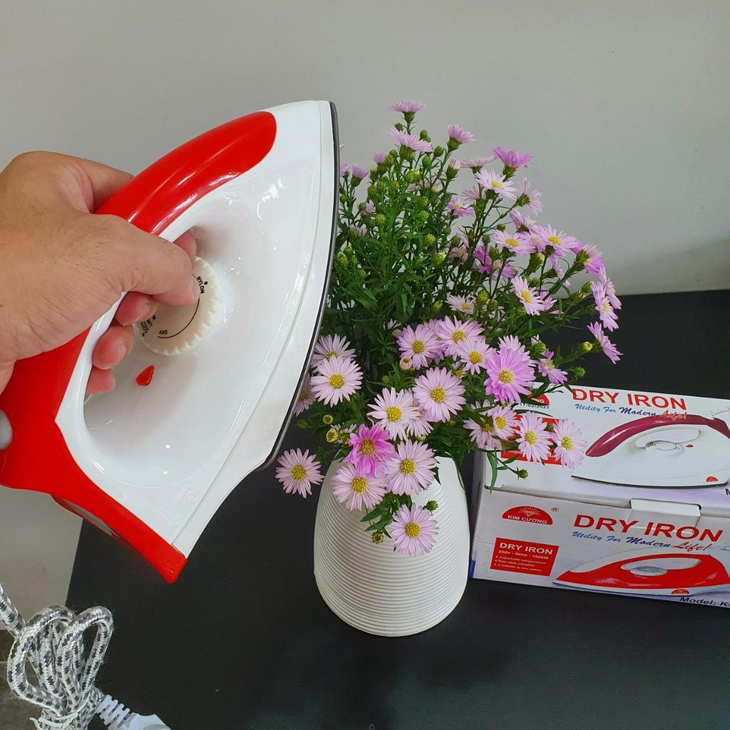 BÀN ỦI KHÔ KIM CƯƠNG HÀNG TIÊU CHUẨN VIỆT NAM