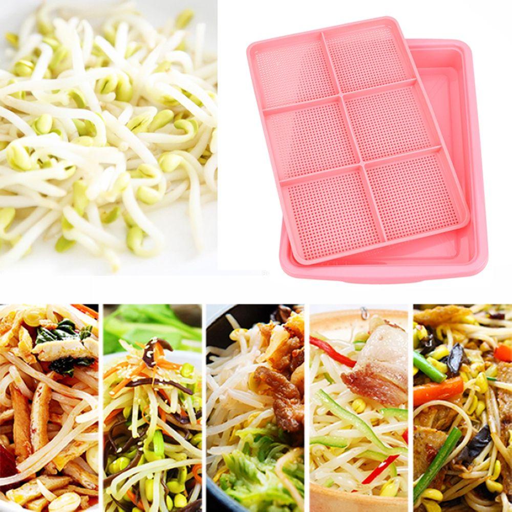 1 Khay Trồng Cây Mầm Tiện Dụng Chất Lượng Cao