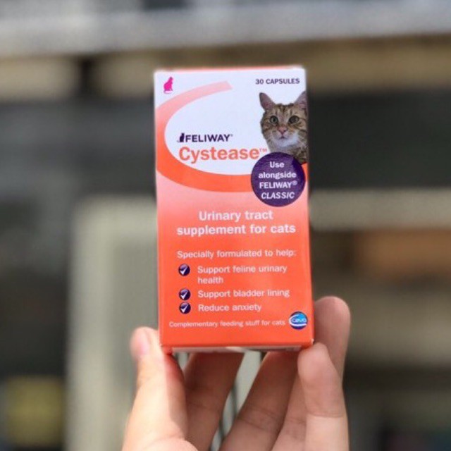 Viên nhai hỗ trợ tiết niệu Feliway Cystease