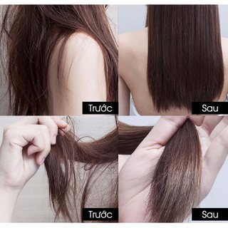 Dầu gội thảo mộc Bưởi Trà