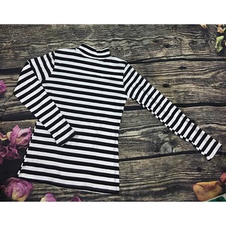 Áo thun gân cổ cao 3 phân hàng loại 1 (Kèm hình thật)
