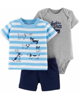 Set carter 3 chi tiết