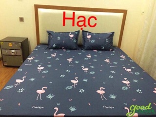 Ga chống thấm cotton