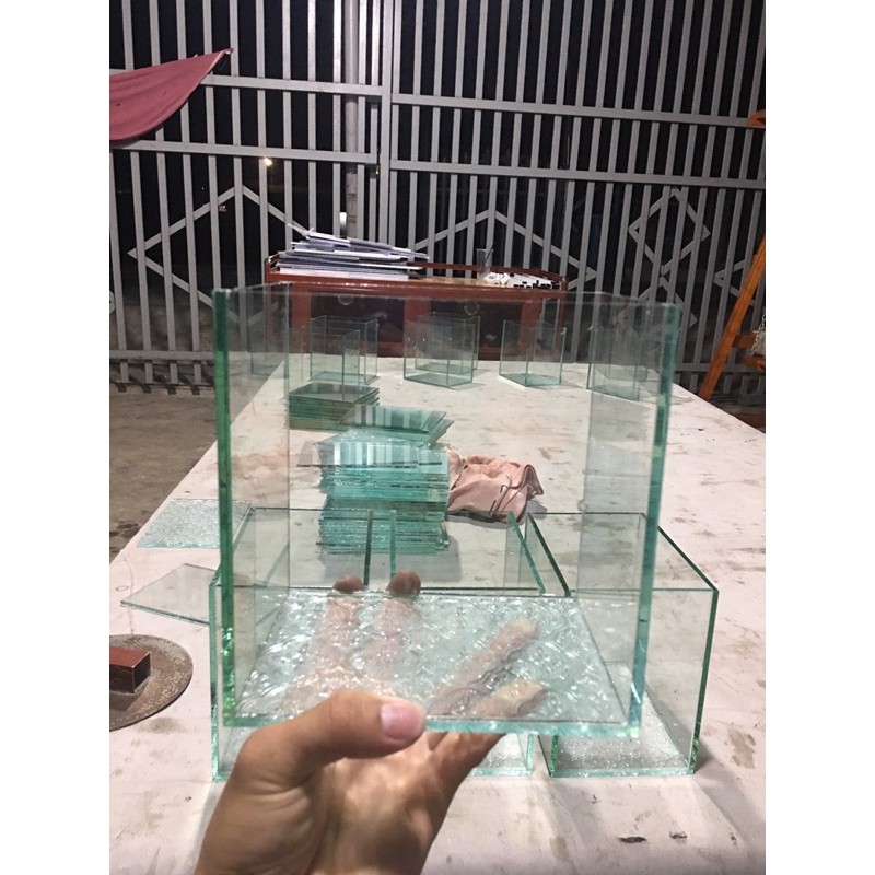 Hồ cá betta,liathia