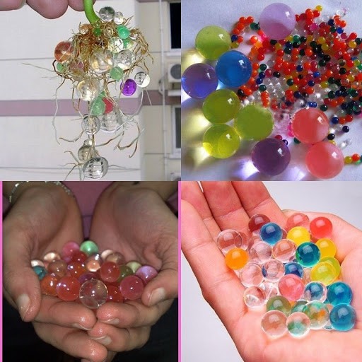 Gói Hạt Tinh Thể, Hạt Nở Slime Trồng Cây Không Cần Đất